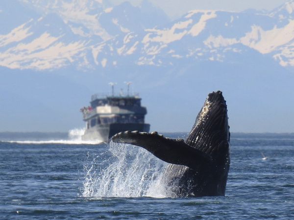 Rocosas, Vancouver y Crucero por Alaska