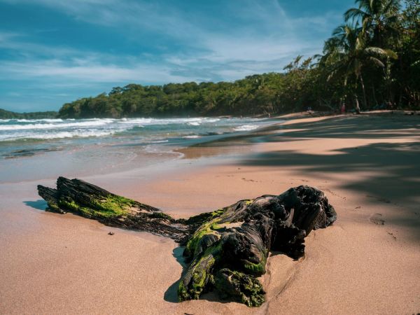 Costa Rica Clásica